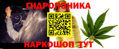 стаф Апшеронск