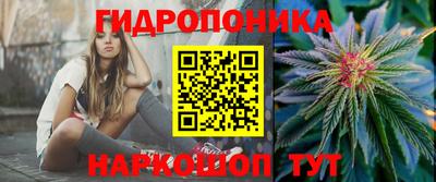 индика Аргун