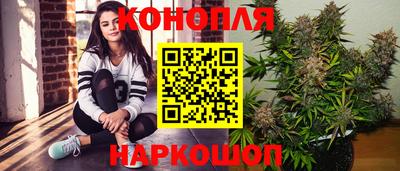 индика Аргун
