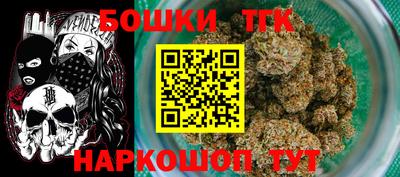 индика Аргун