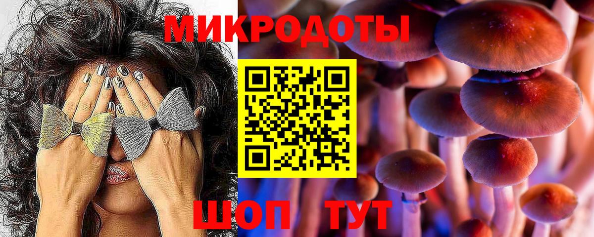 Псилоцибиновые грибы Psilocybine cubensis  Вход с VPN  Бахчисарай 